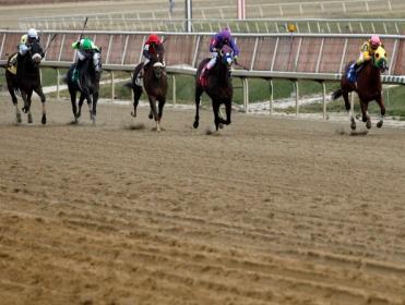 Timeform's US team advise backing three horses